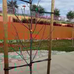 View Tree Ties